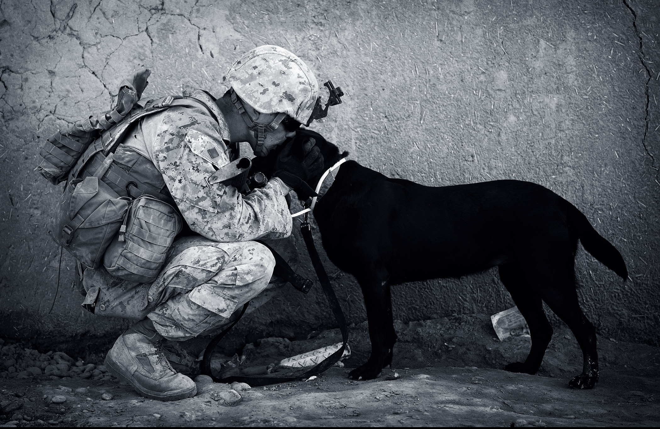 Soldat som pussar hund på huvudet